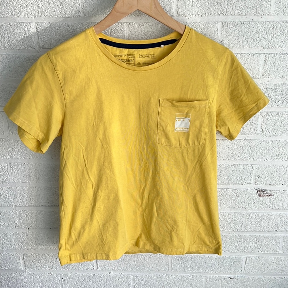Patagonia Alpine Icon Regenerative Organic Certified™ Cotton Pocket T-Shirt